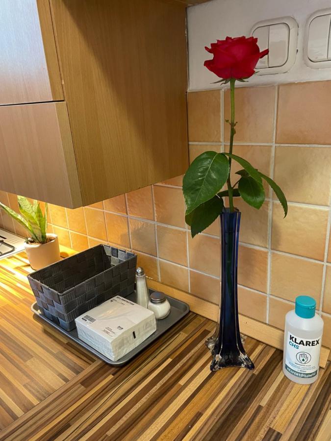 Magnolia Apartman Győr Esterno foto